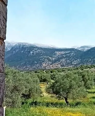 Pensjonat Xenonas Anopolis 1 Sinoikismos Kambos